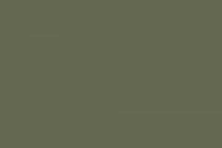 Solid color called Green Shadow for your custom-made wardrobe from Maatkasten Online