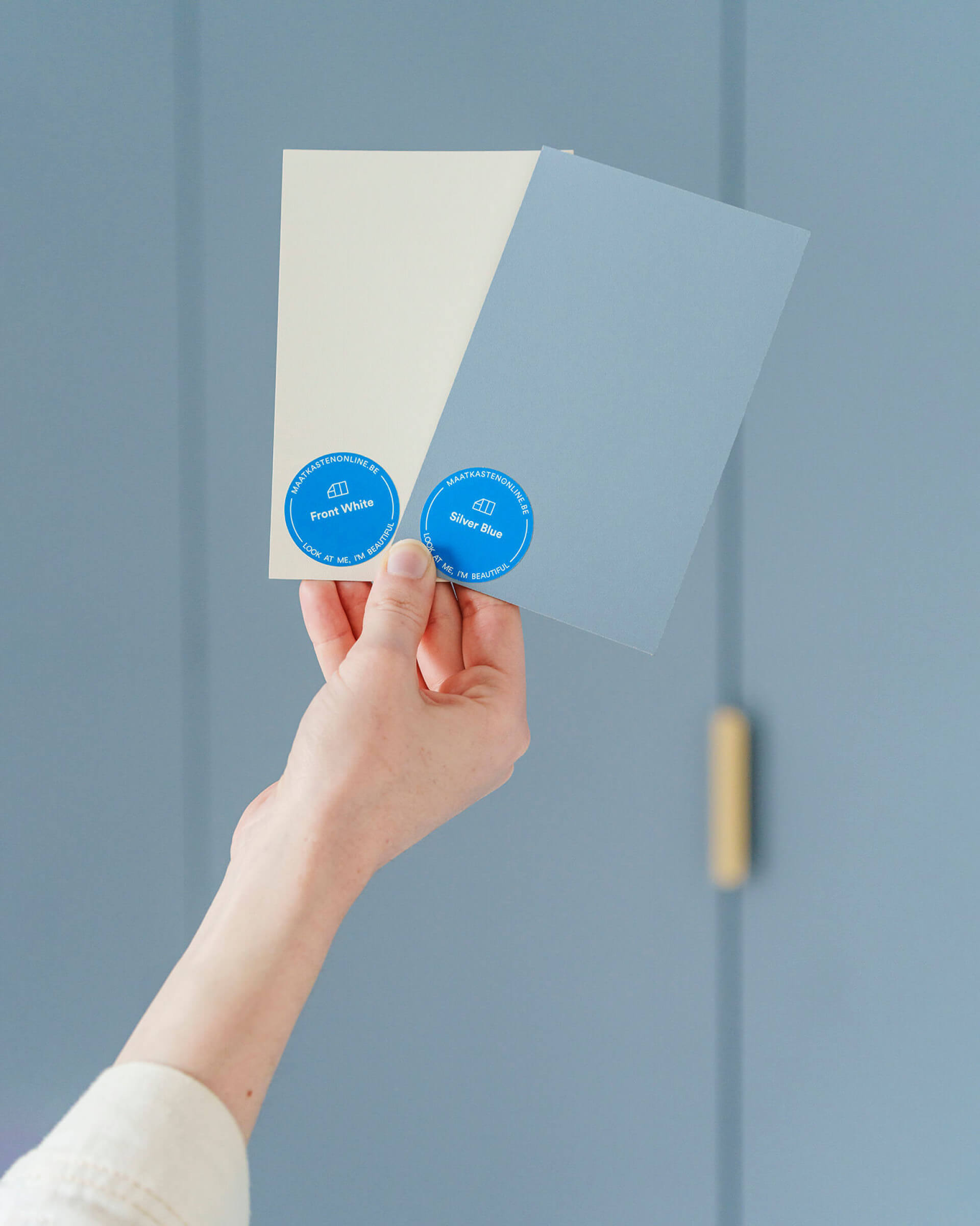 Échantillons de couleurs gratuits pour votre armoire sur mesure : Silver Blue et Front White